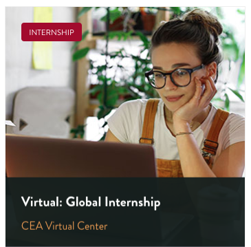 CEA Virtual Global Internship
