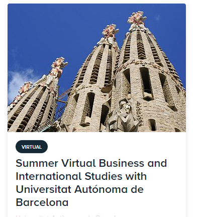 API Virtual Barcelona
