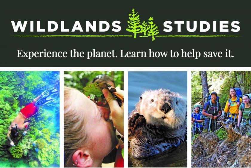 Wildlands Studies: Experience the planet. Learn how to help save it.