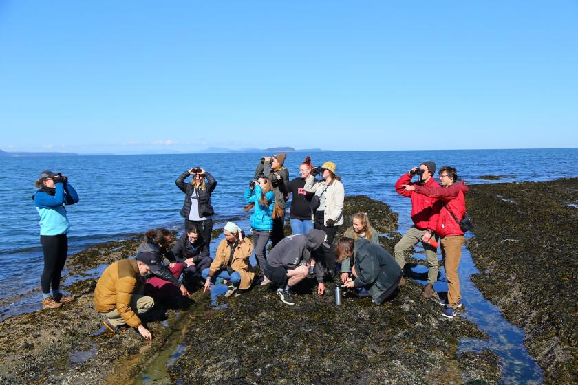 Group of students doing fieldwork near Salish Sea